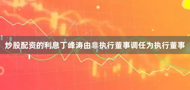 炒股配资的利息丁峰涛由非执行董事调任为执行董事