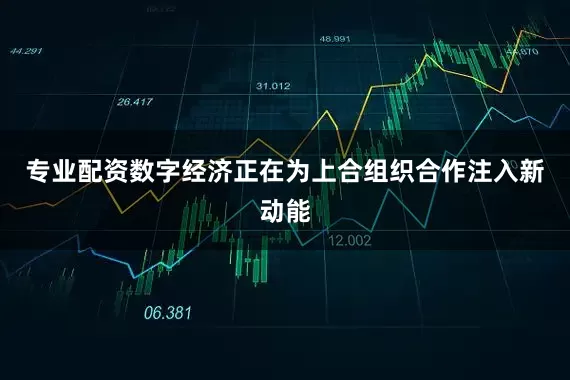 专业配资数字经济正在为上合组织合作注入新动能