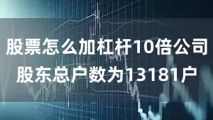 股票怎么加杠杆10倍公司股东总户数为13181户