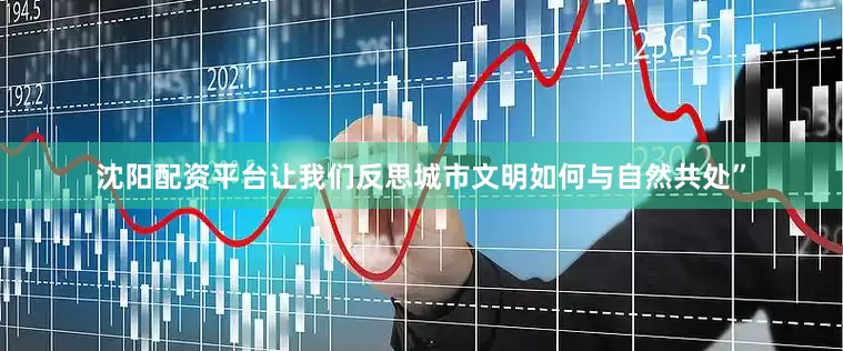 沈阳配资平台让我们反思城市文明如何与自然共处”