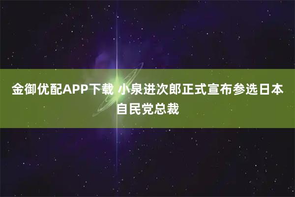 金御优配APP下载 小泉进次郎正式宣布参选日本自民党总裁