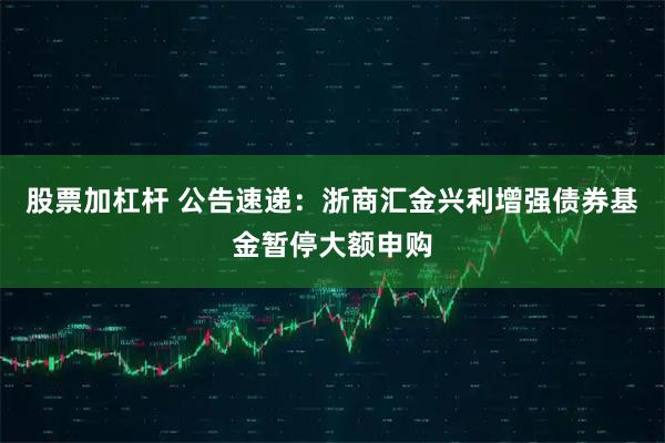 股票加杠杆 公告速递：浙商汇金兴利增强债券基金暂停大额申购