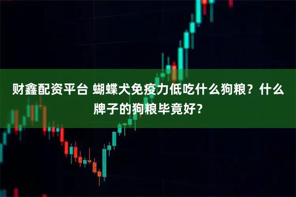 财鑫配资平台 蝴蝶犬免疫力低吃什么狗粮？什么牌子的狗粮毕竟好？