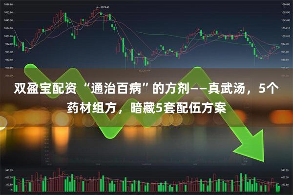 双盈宝配资 “通治百病”的方剂——真武汤，5个药材组方，暗藏5套配伍方案